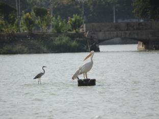 Hotel Shiv Lake Bhuj Exterior photo